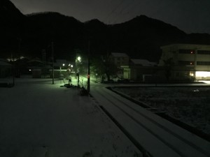 1/19の朝の雪