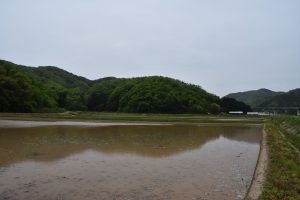 コウノトリのいる場所全景