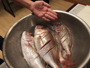 塩かまくらに使う魚