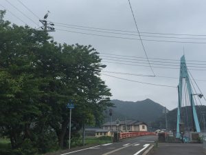 佐津川橋にコウノトリ