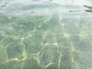 佐津の海の透明度