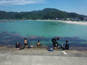 竹野でビーチダイビング