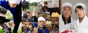 田中畜産牛飼いブログ