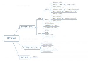 カニ名称一覧表