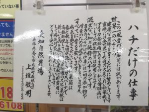 ハチだけの仕事の紹介文