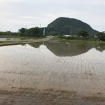 お天気良い日が多いのに週末イベントが少ない5月の謎