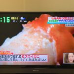 昨日、朝の情報番組「すまたんZIP」にて本日開催の「香住ガニまつり」が紹介されました!