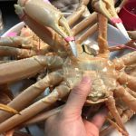 1月の松葉ガニと11月の松葉ガニ。どちらが美味しいですか?