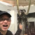 お天気が悪くても安心!リニューアルした「玄武洞ミュージアム」に行って来ました!
