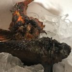 オコゼには地元で「キンイロ」と呼ばれる色の見た目のものもいます