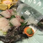 8/31(土)が今夏の週末で活イカ&おこぜプラン最後の食べおさめの日になります!