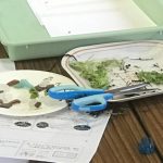 夏休みの自由研究、工作にいかが?海辺の漂着物を使った万華鏡作り