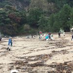 松葉ガニ解禁を前に、佐津海水浴場も海岸清掃いたしました!