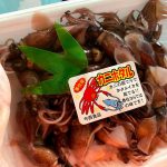 漁獲日本一、香住・浜坂ともに今年もホタルイカ漁好調です♪