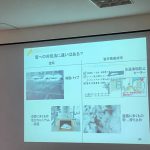 消雪水は日本海側新潟県以南でしか見られない特別な仕組み