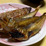 間も無く底引網船も終了〜一夜干しハタハタを焼いて食べました!