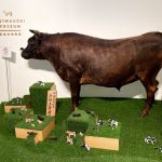 遅くなりましたが、3年前にリニューアルした但馬牧場公園にある但馬牛博物館に行ってきました!