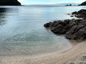 佐津浜から見た貝殻島