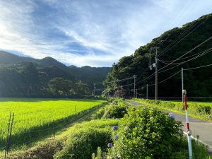 四つ角から東（米地集落）を見る