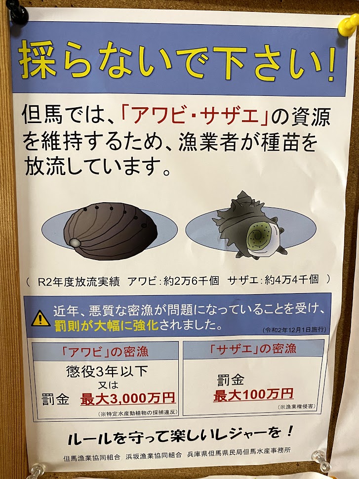 アワビの密漁で罰金１千万円 サザエの密漁で罰金百万円 漁業法が厳しく改定されています 香住佐津温泉 民宿 美味し宿かどや公式ブログ