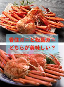 香住ガニと松葉ガニ、どちらが美味しい？