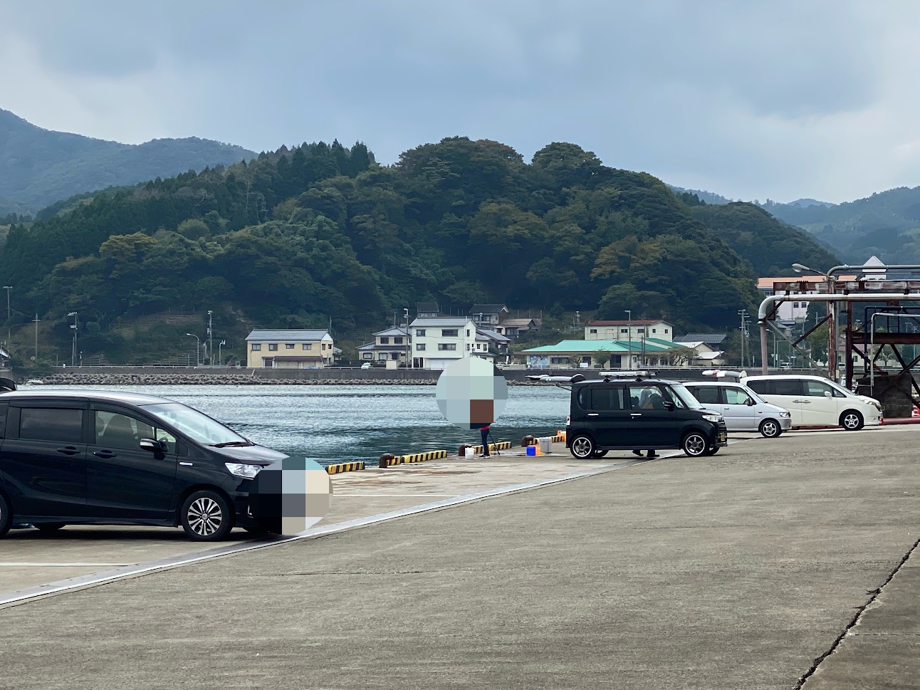 釣りが復活した柴山港