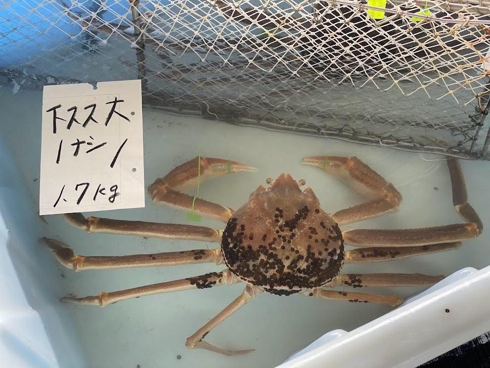 下スス大1.7kg