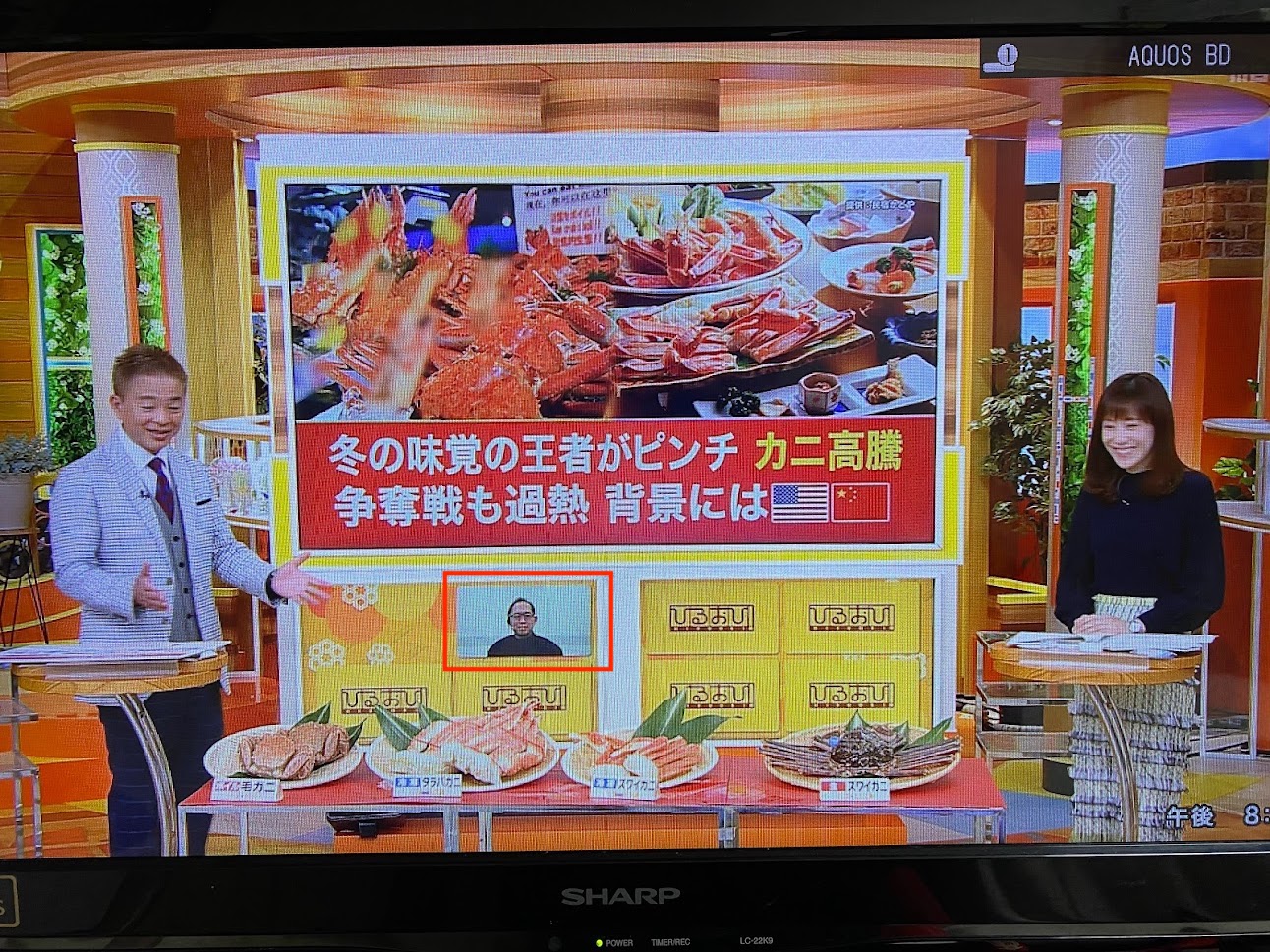 ひるおび出演