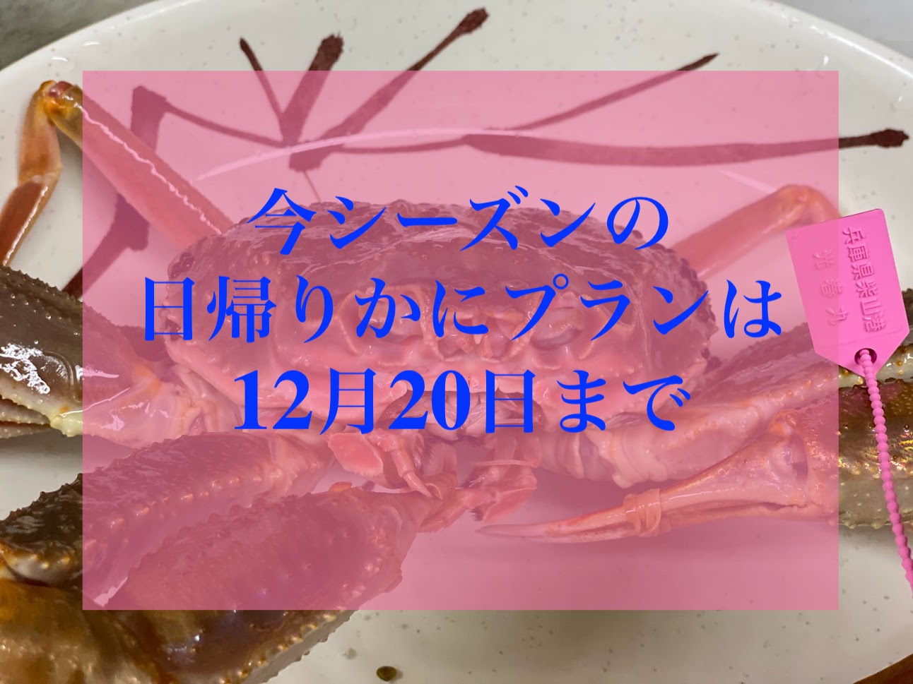 日帰り昼食は１２月２０日まで