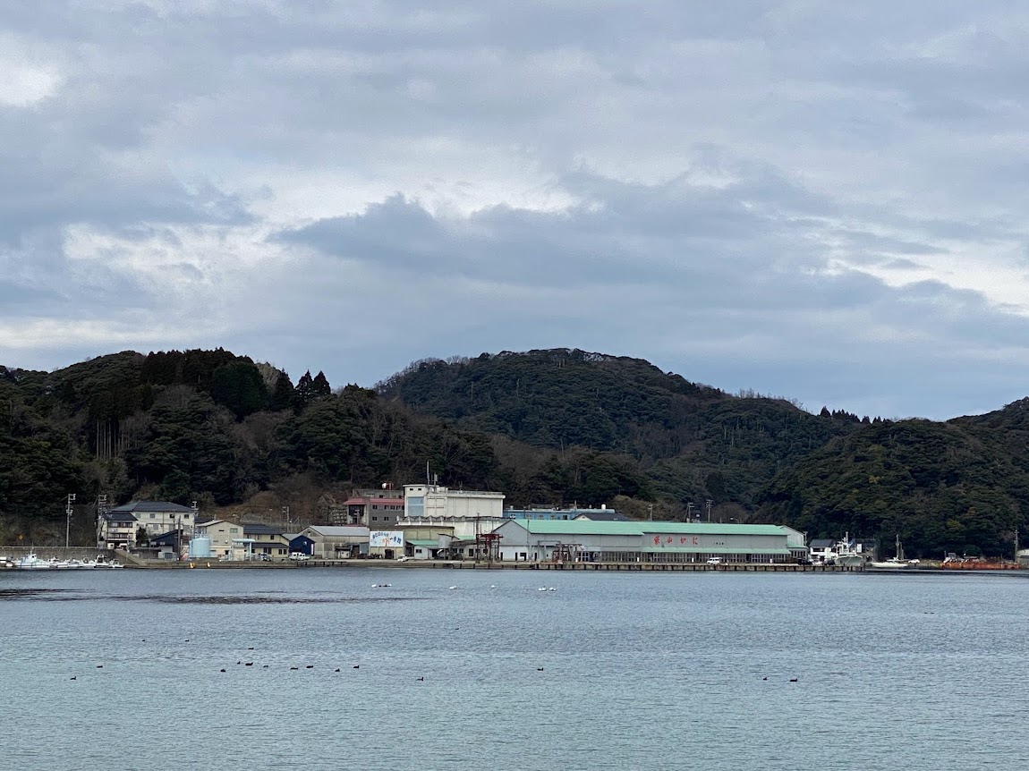 柴山港の上屋