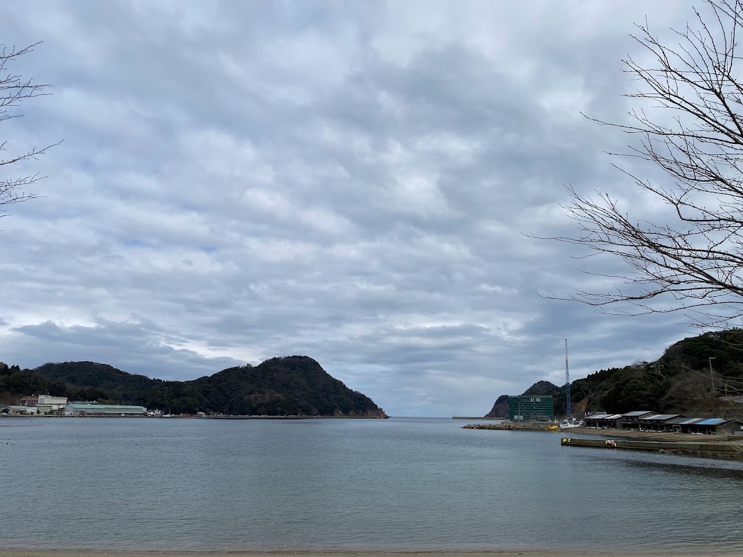 柴山港全景