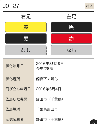 コウノトリ個体検索その２