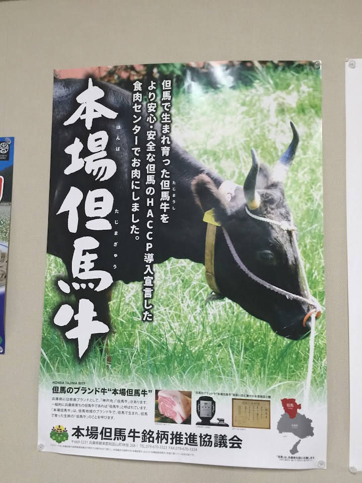 本場但馬牛