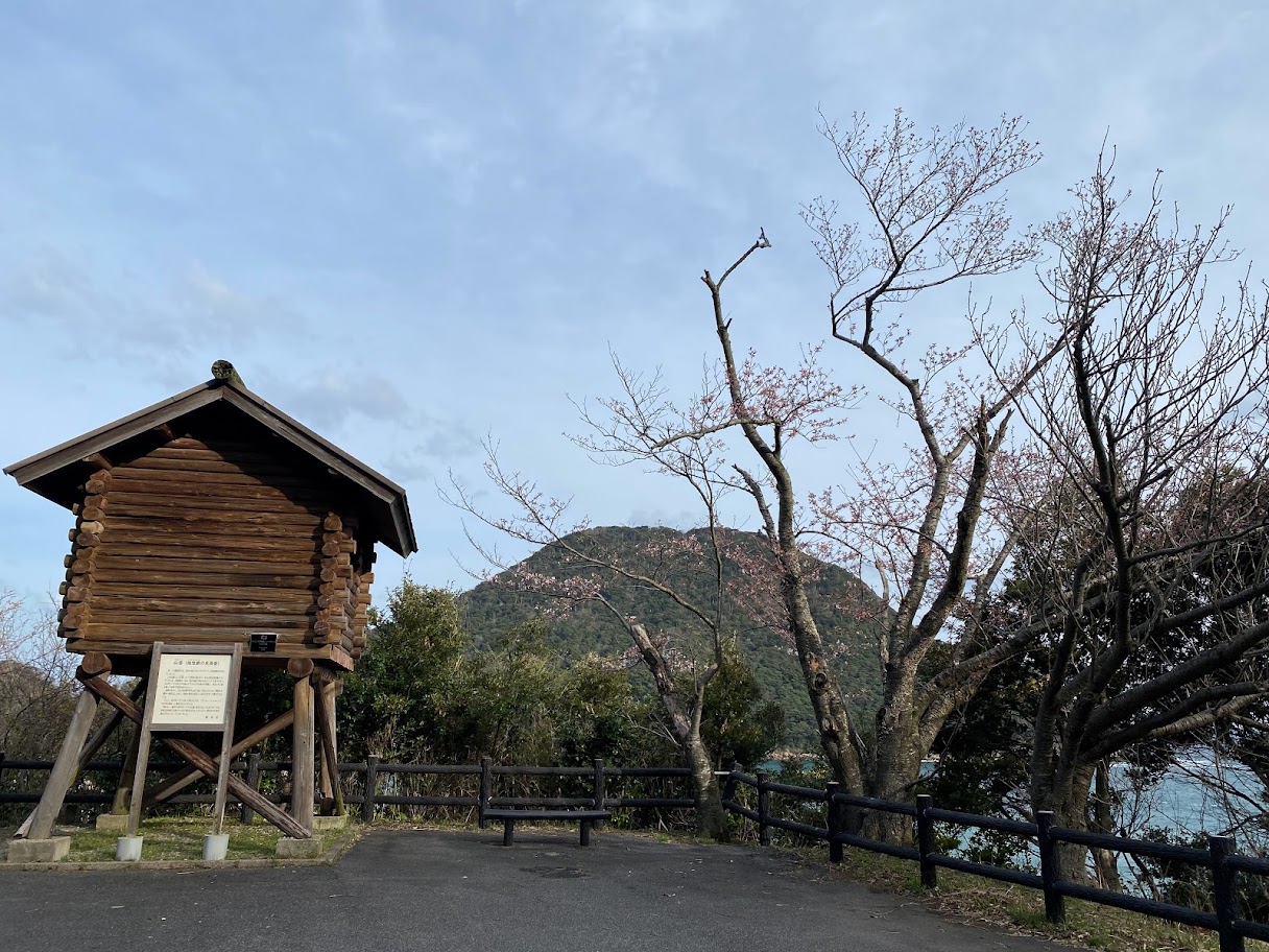 開花直前の魚見台横の桜