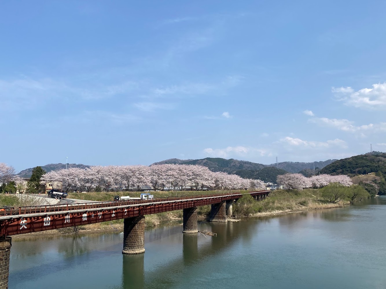 矢田川橋梁と桜