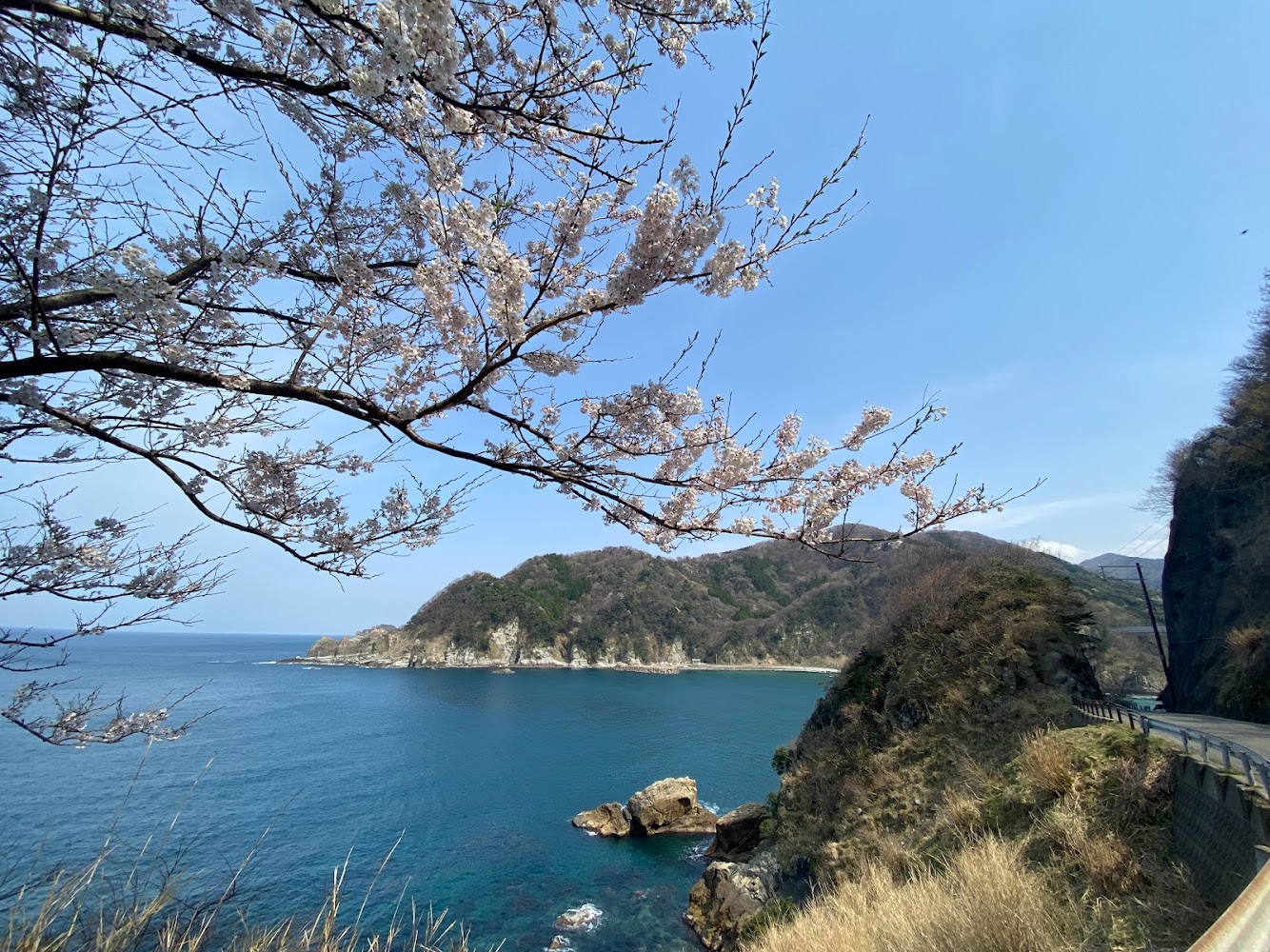 背景は山陰海岸ジオパーク！