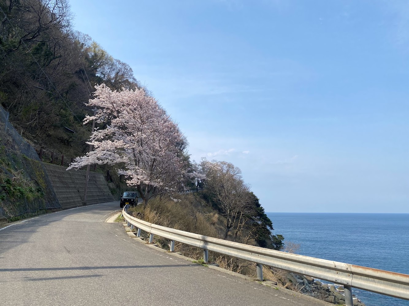 余部御崎へ行く道中の桜