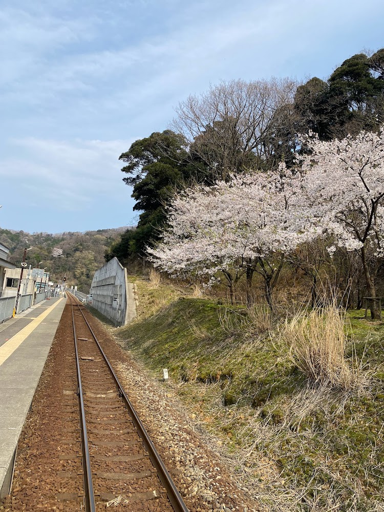 桜と余部橋梁