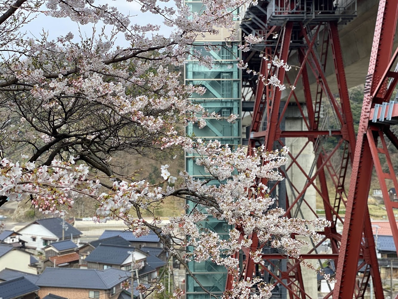 余部鉄橋と桜