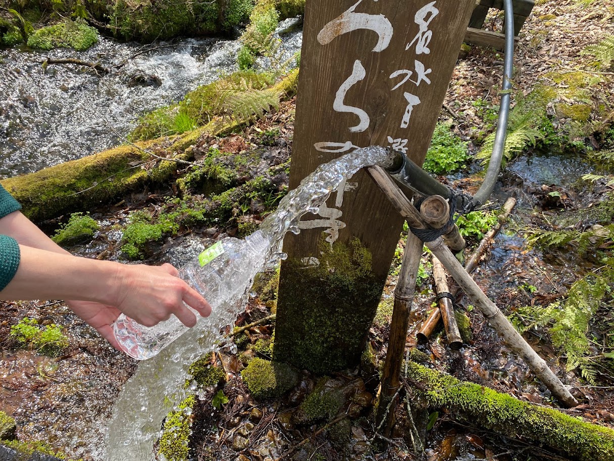 和池の大カツラの天然水を汲む