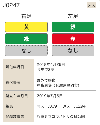 コウノトリ個体検索