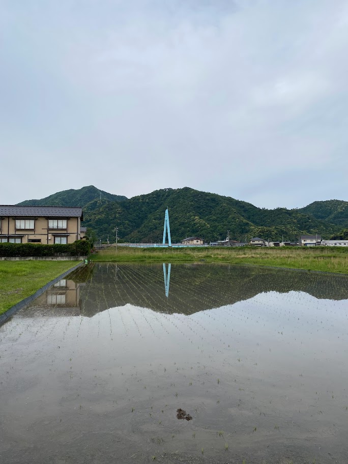 田んぼに映る佐津っこ橋