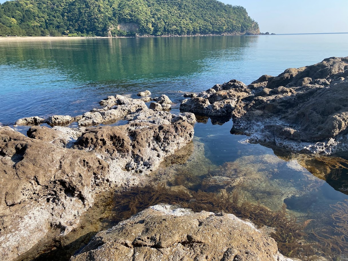 佐津海水浴場にある潮溜まり