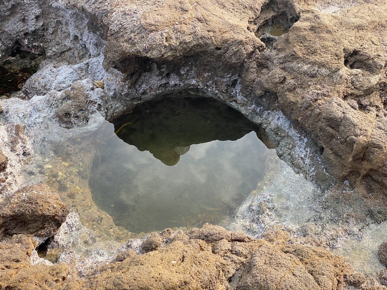 佐津海水浴場で見られるポットホール