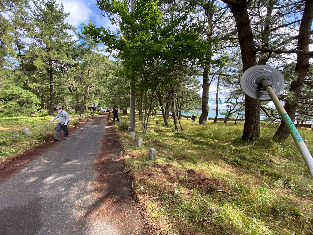 佐津海水浴場の草刈り