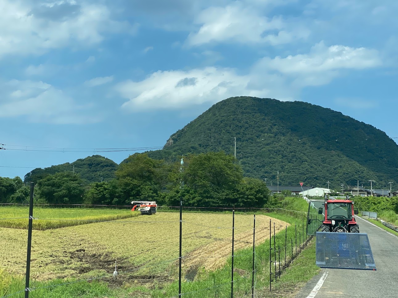 早米！？８月２２日に撮影