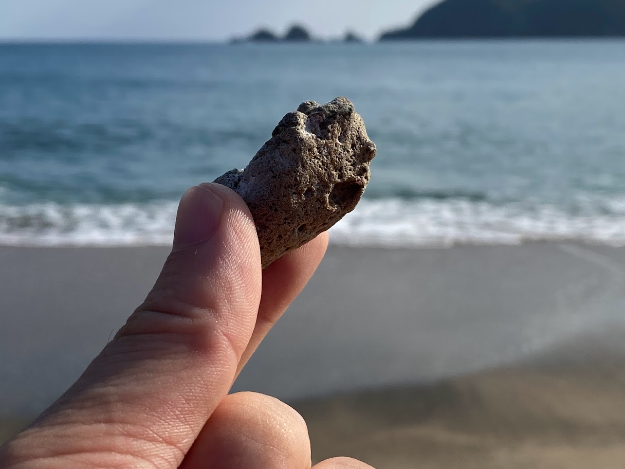 福徳岡ノ場の軽石（大きめ）日本海にて