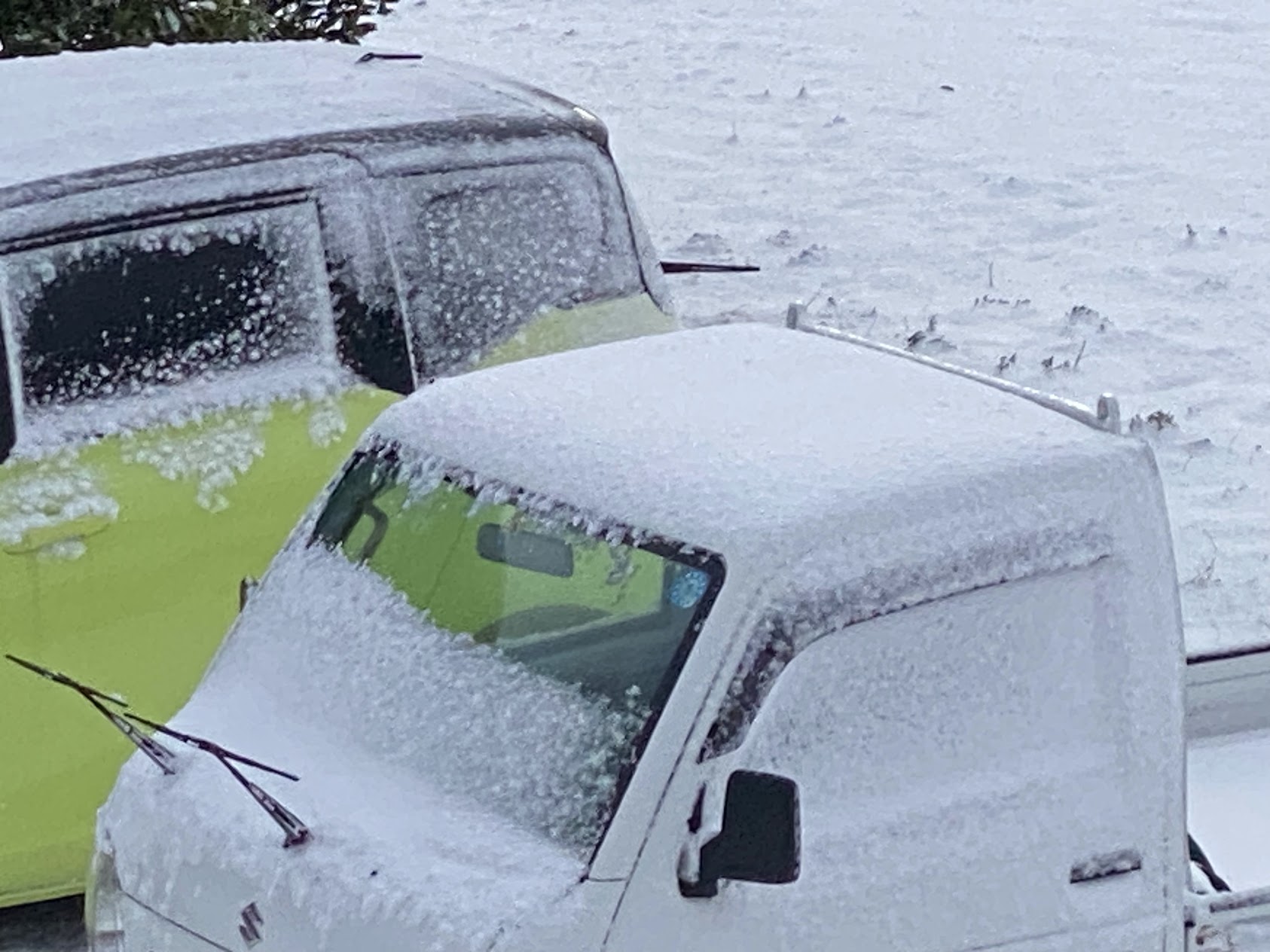 一晩で車の上には大して雪は積もっていませんでした