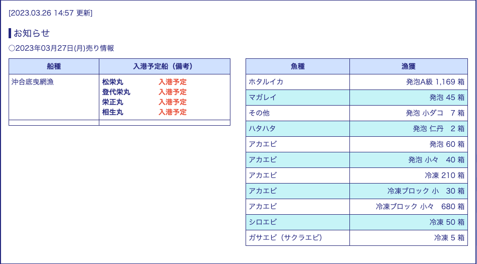 令和5年3月27日柴山港漁獲情報