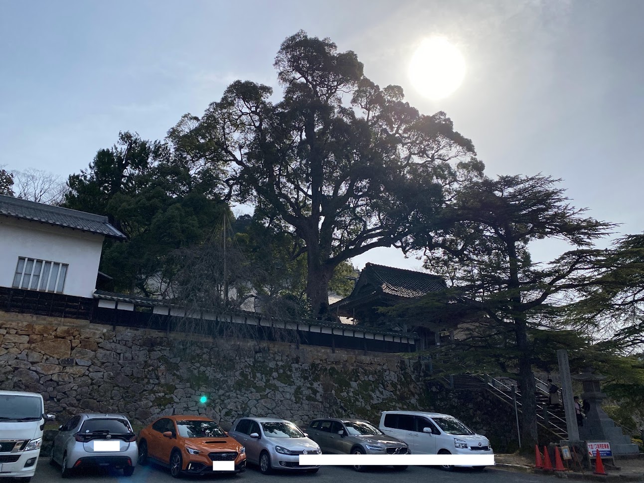 昨日朝9時半ごろ大乗寺境内にて。既に車は多かったです